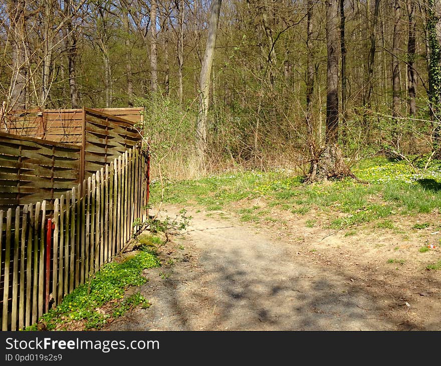 The Viehleite is an old path in the nature of Pirna. Before they cut even all trees there and had landslides. later is was a battleground for the training of the Royal Saxon Army, Path and for the Wehrmacht and NVA. They had blown up here munition. The forest has no diversity and a lot of important trees, streams, herbs. Conifers too less. No beds. No shrubbery. No herbs. Oaks and chestnuts are important for bigger animals and anywhere. Is a tree tall, strong and big it is being cut down and is rotting on the ground, that you can not have a joy of thick and very old trees, although they need lesser care and working time?It is not a forest. And you see even any squirrels here or other animals or their footprints. No birds even. No mice. The Viehleite is an old path in the nature of Pirna. Before they cut even all trees there and had landslides. later is was a battleground for the training of the Royal Saxon Army, Path and for the Wehrmacht and NVA. They had blown up here munition. The forest has no diversity and a lot of important trees, streams, herbs. Conifers too less. No beds. No shrubbery. No herbs. Oaks and chestnuts are important for bigger animals and anywhere. Is a tree tall, strong and big it is being cut down and is rotting on the ground, that you can not have a joy of thick and very old trees, although they need lesser care and working time?It is not a forest. And you see even any squirrels here or other animals or their footprints. No birds even. No mice.