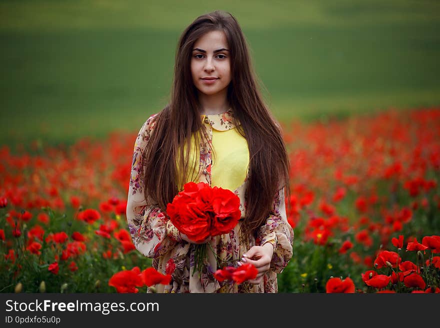 Beautiful young woman in poppy field holding a bouquet of poppies, summer time. Beautiful young woman in poppy field holding a bouquet of poppies, summer time