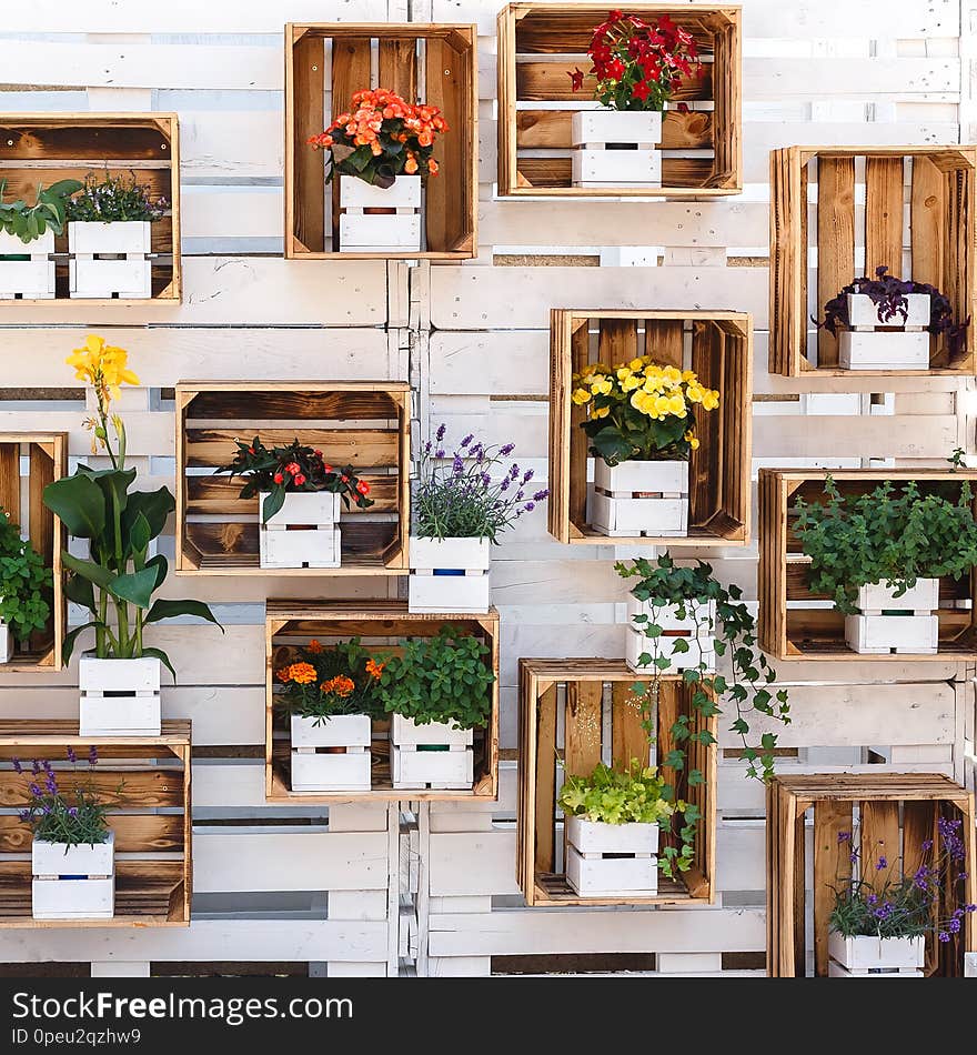 Many different bouquets of flowers in wooden boxes hanging on a wall. The design in wooden style, floral design