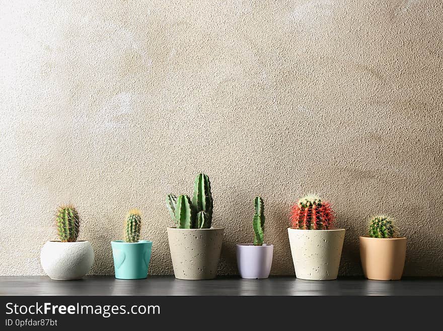 Different potted cacti on table near color background, space for text. Interior decor. Different potted cacti on table near color background, space for text. Interior decor