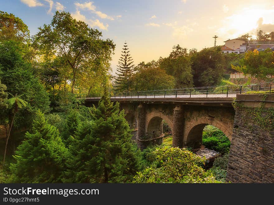 Beautiful view of the botanical garden Monte Palace on the hill Monte Funchal above the city on the island Madeira. Beautiful view of the botanical garden Monte Palace on the hill Monte Funchal above the city on the island Madeira