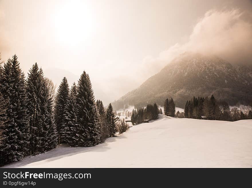 Beautiful winter scenery in the german alps at Oberstdorf, Allgaeu, Bavaria, Germany