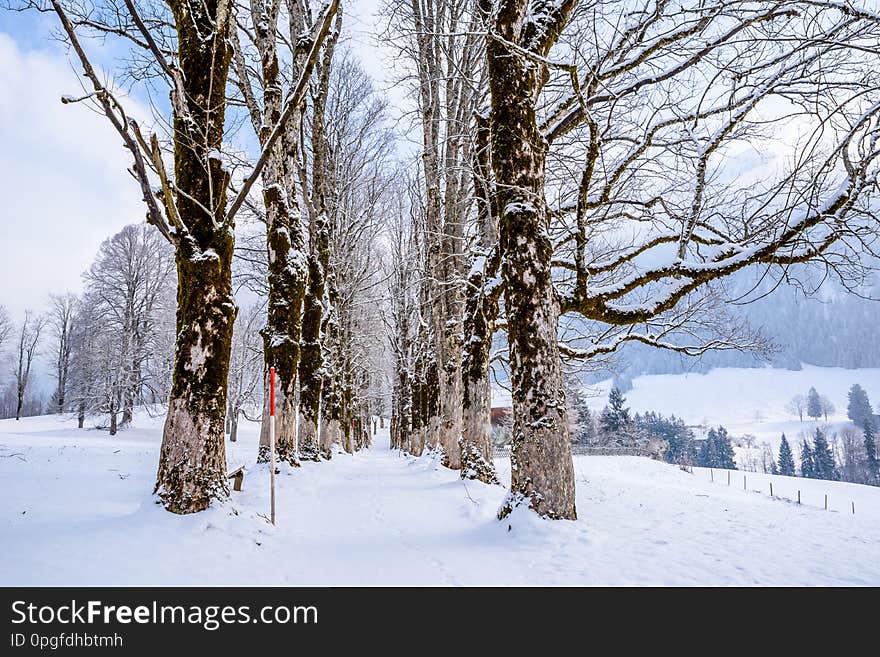 Beautiful winter scenery in the german alps at Oberstdorf, Allgaeu, Bavaria, Germany