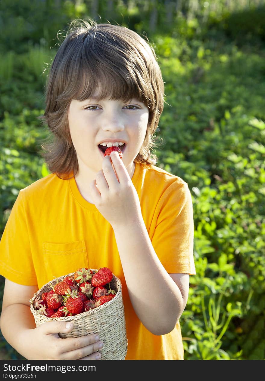 Happy child eating strawberries near a sunny garden with a summer day.