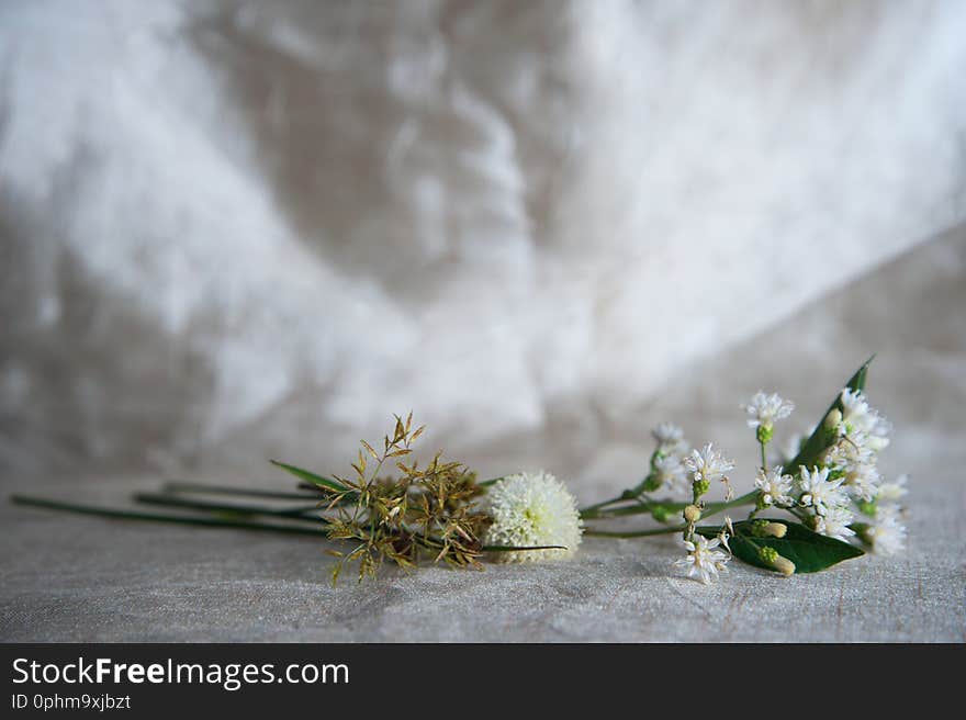 White wild flower and green reed on golden silver fabric luxury background