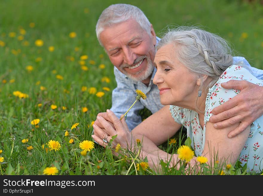 Happy senior couple lying on green meadow with dandelions