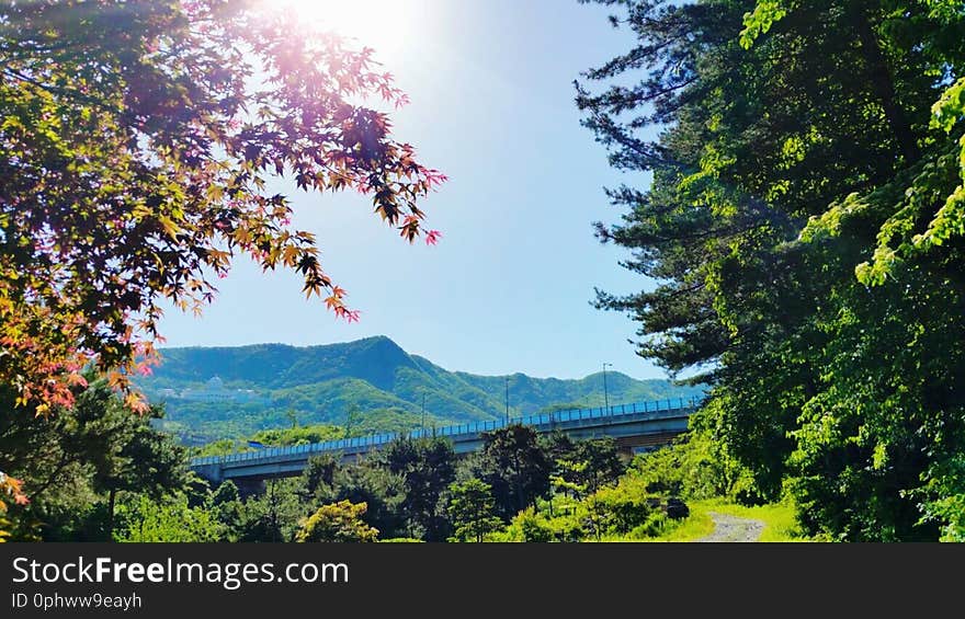 Smartphone Seorak, Gapyeong, Korea Location : å­æƒ…æ¨¹æœ¨è‹‘ã€€íš¨ì •ìˆ˜ëª©ì›ã€€HyoJeong Arboretum View from the Instagram July 03, 2018 Instagram May 19, 2018 - - - - - - - - - - True Parents&#x27; flickr albums 2019 flickr albums 2018 flickr albums 2017 flickr albums 2016. Smartphone Seorak, Gapyeong, Korea Location : å­æƒ…æ¨¹æœ¨è‹‘ã€€íš¨ì •ìˆ˜ëª©ì›ã€€HyoJeong Arboretum View from the Instagram July 03, 2018 Instagram May 19, 2018 - - - - - - - - - - True Parents&#x27; flickr albums 2019 flickr albums 2018 flickr albums 2017 flickr albums 2016