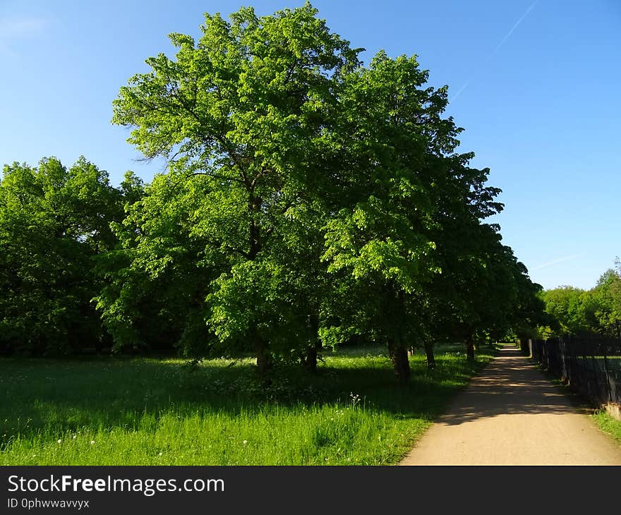 GroÃŸer Garten Park Dresden