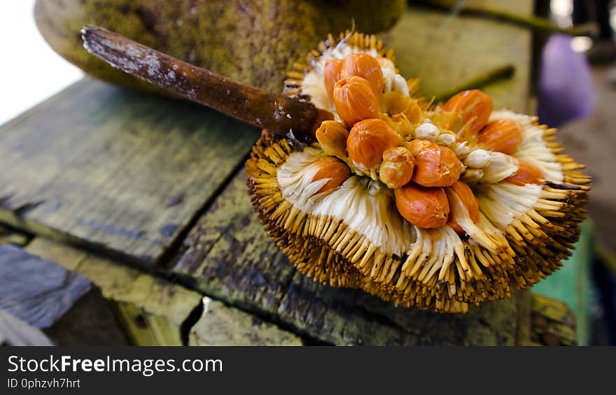 Mentawak, Jungle Fruit Borneo