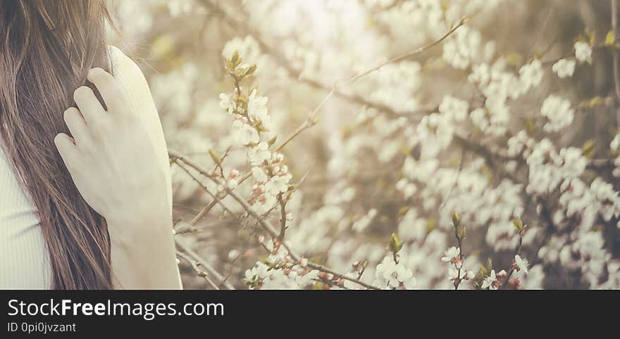 Pretty young brunette woman`s hand touching a blooming tree branches. Fashion, happiness and lifestyle concept. Pretty young brunette woman`s hand touching a blooming tree branches. Fashion, happiness and lifestyle concept.