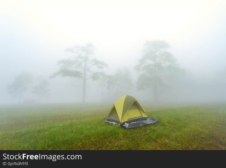 Tent in mountain and forrest with fog from thailand. Tent in mountain and forrest with fog from thailand