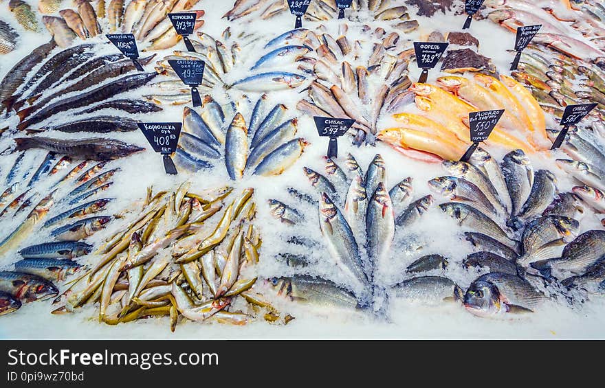 A large selection of fresh fish lying in the ice on the counter of the supermarket. Text in Russian: salmon, steak, piece, carp, Sylvia, pollock, cod, Atlantic, smelt, herring, trout, sea bass, catfish, Burbot, mackerel, bream, pike, Amur, crucian carp