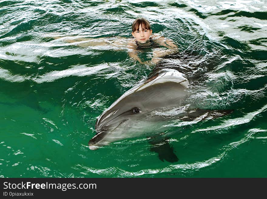 A girl swims with a dolphin in the pool. Communication with animals. Bright emotion