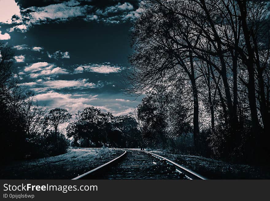 A dark and creepy railroad track. This will be good for horror, and creepy projects.