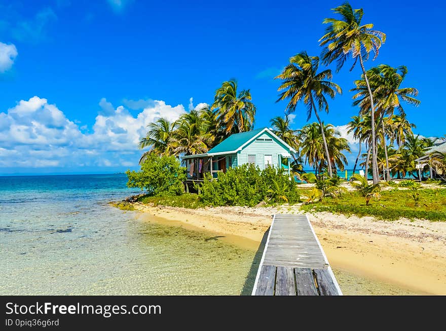 Paradise beach on island caye Carrie Bow Cay Field Station, Caribbean Sea, Belize. Tropical destination