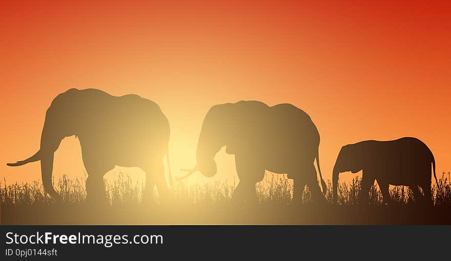 Realistic illustration with silhouette of three elephants on safari in Africa. Grass and red-orange sky with rising sun - vector