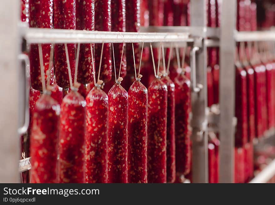 Salami production. Sausage production line. Sausage on the counter for the smokehouse. Meat processing plant