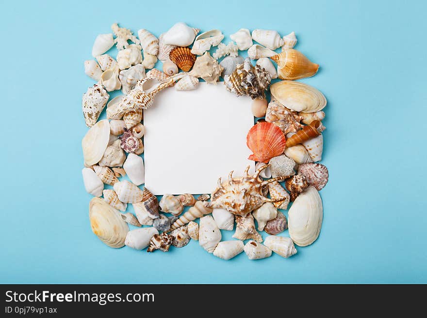 Frame from seashells on blue background. Summer vacation concept. Sea holidays Memories album