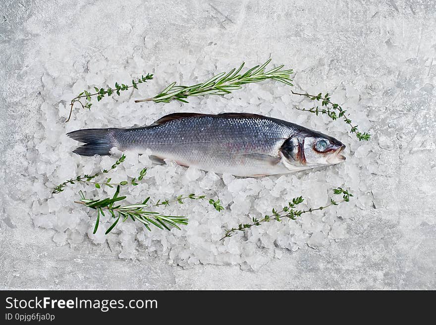 Raw Sea Bass On Ice With Rosemary And Thyme. Gray Background, Top View, Space For Text.