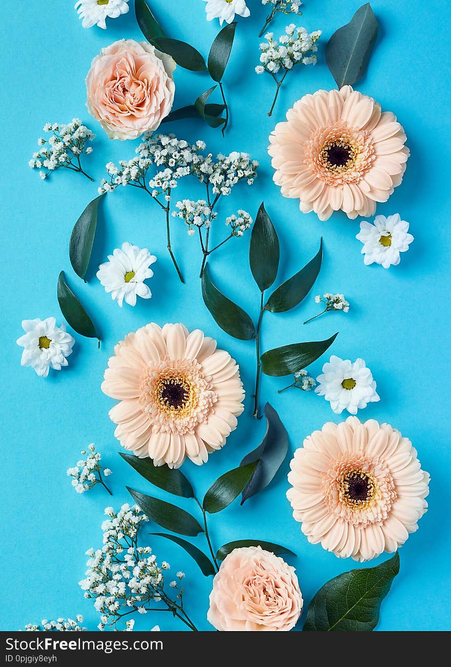 Beautiful pink and white flowers composition on blue background, top view, flat lay