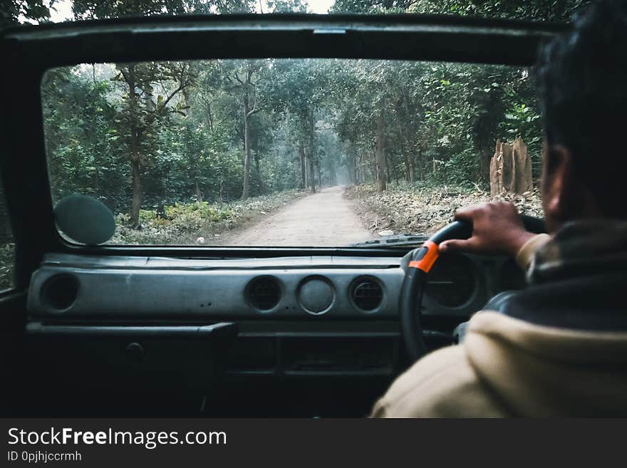 Behind the wheel of a classic retro car. The view from the back. Movement on the forest road. Safari car SUV