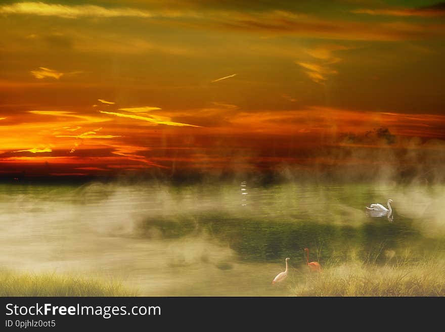 Dreamy look at a peacful misty morning on a calm lake. Dreamy look at a peacful misty morning on a calm lake