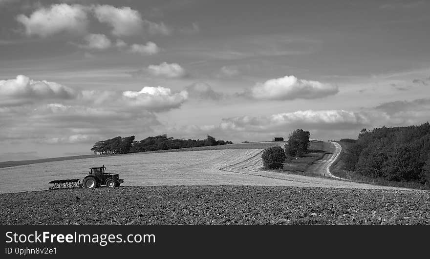 Taken in September 2011. Another angle I have had my eye on for a while. I was hoping for some cloud shadow but a tractor came along instead to finish the field which had already been started. It might have been a long wait otherwise to get it far enough away. The Ring is behind the tractor and the South Downs Way snakes up on the right. Best if you View On White. More information on this feature and the area in general can be found on the excellent local website - www.findonvillage.com The colour version can be seen here - www.flickr.com/photos/7361952@N03/6957539284/. Taken in September 2011. Another angle I have had my eye on for a while. I was hoping for some cloud shadow but a tractor came along instead to finish the field which had already been started. It might have been a long wait otherwise to get it far enough away. The Ring is behind the tractor and the South Downs Way snakes up on the right. Best if you View On White. More information on this feature and the area in general can be found on the excellent local website - www.findonvillage.com The colour version can be seen here - www.flickr.com/photos/7361952@N03/6957539284/