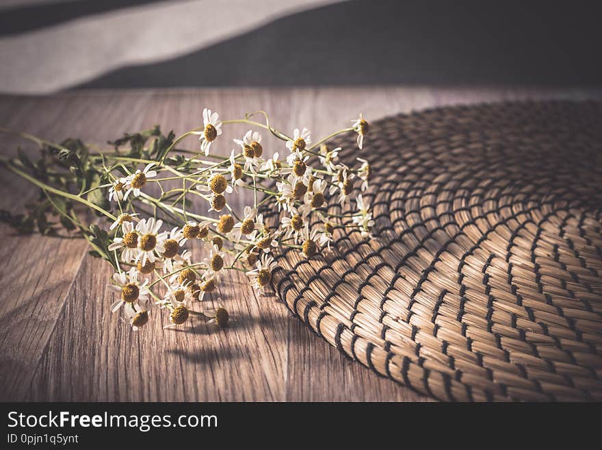 Flat lay toned image of chamomile on straw napkin background shallow depth of field