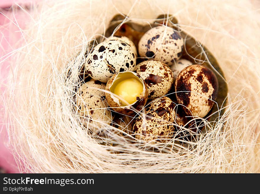 Quail eggs on pink background with willow branch