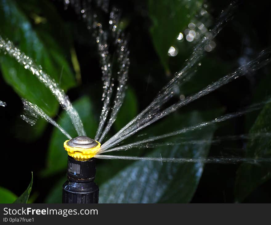 The Water splashing surround from the head of automatic sprinkle watering pipe with dark background.