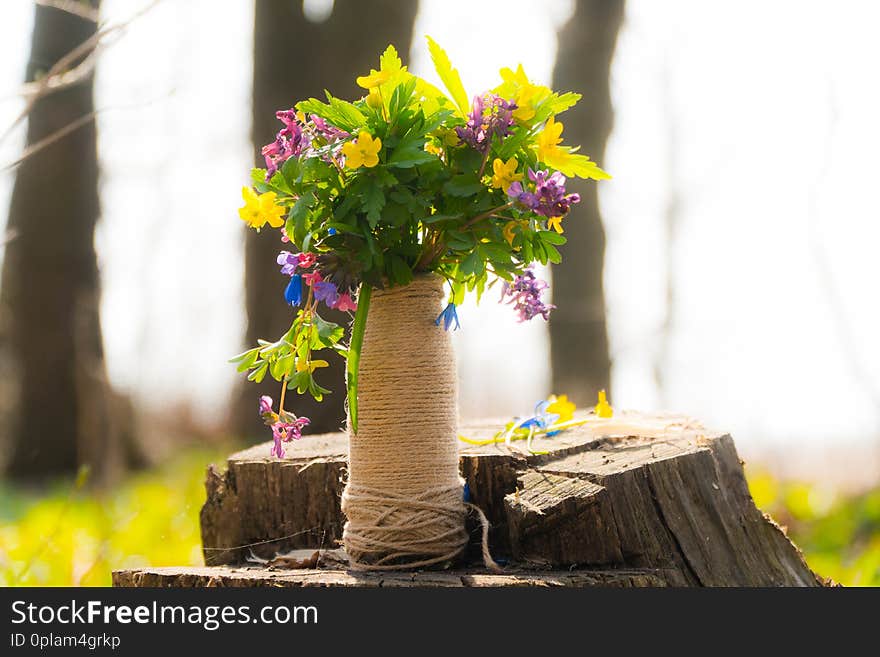 a bouquet of forest flowers. beautiful flowers vase with flowers in nature.nbouquet of wild flowers.