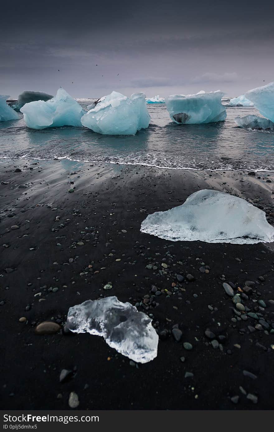 Icebergs in the sea