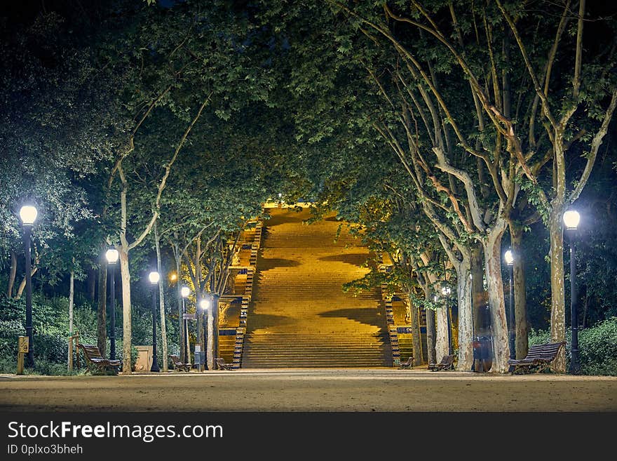 Park In Barcelona At Nightn