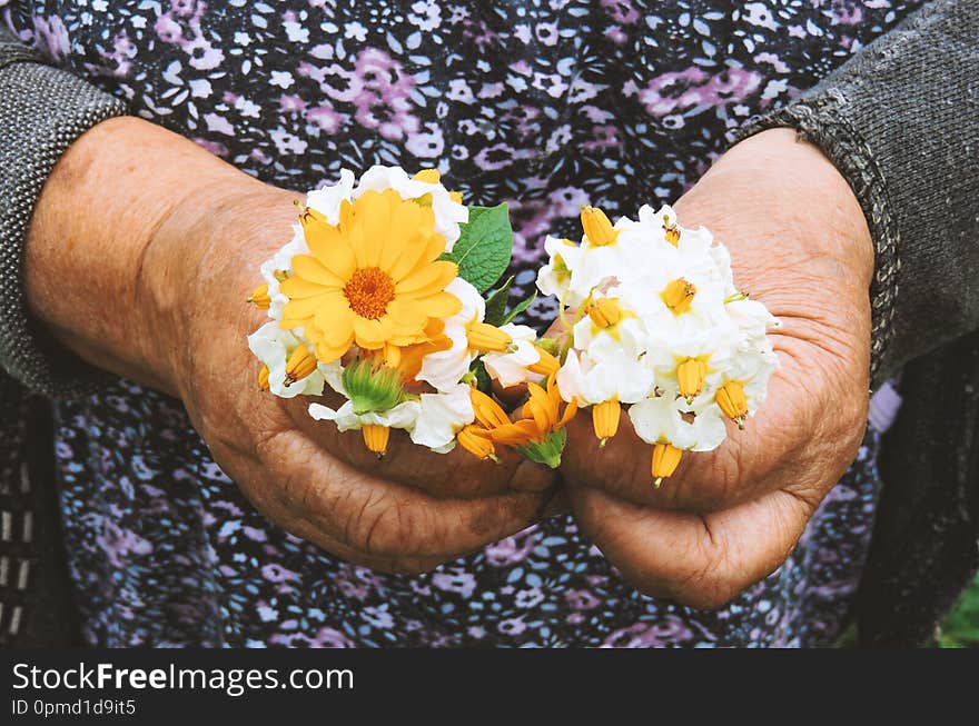 Gardeners hands planting flowers. Hand holding small flower in the garden. Hand holding  potato flowers.