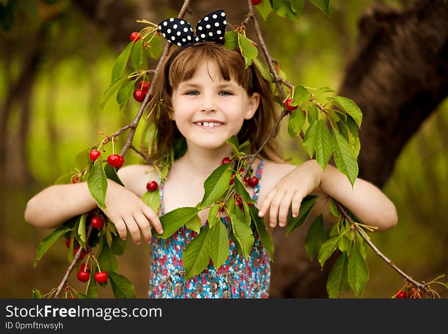 Happy little girl play near cherry tree in summer garden. Kid picking cherry on fruit farm. Child pick cherries in summer orchard. Harvest time fun for family.