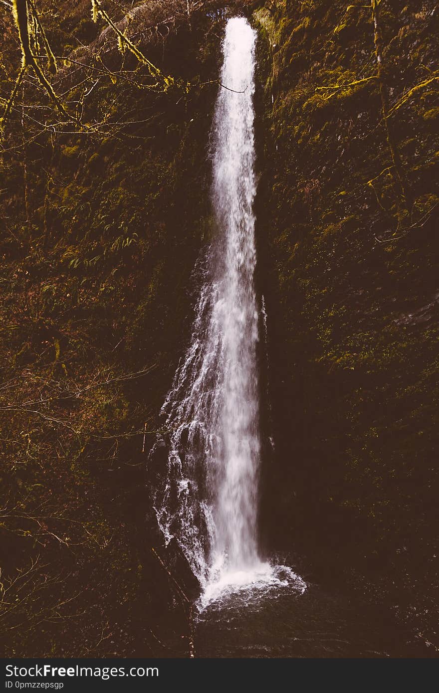 Beautiful Shot Of A Waterfall In The Forest Surrounded By Tall Trees