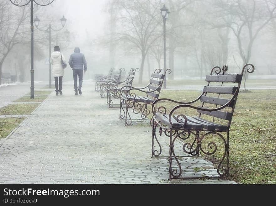 A couple of young people walking in the park in early spring. The weather is foggy.