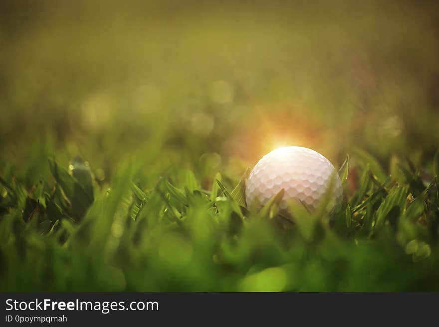 Golf ball is on a green lawn in a beautiful golf course