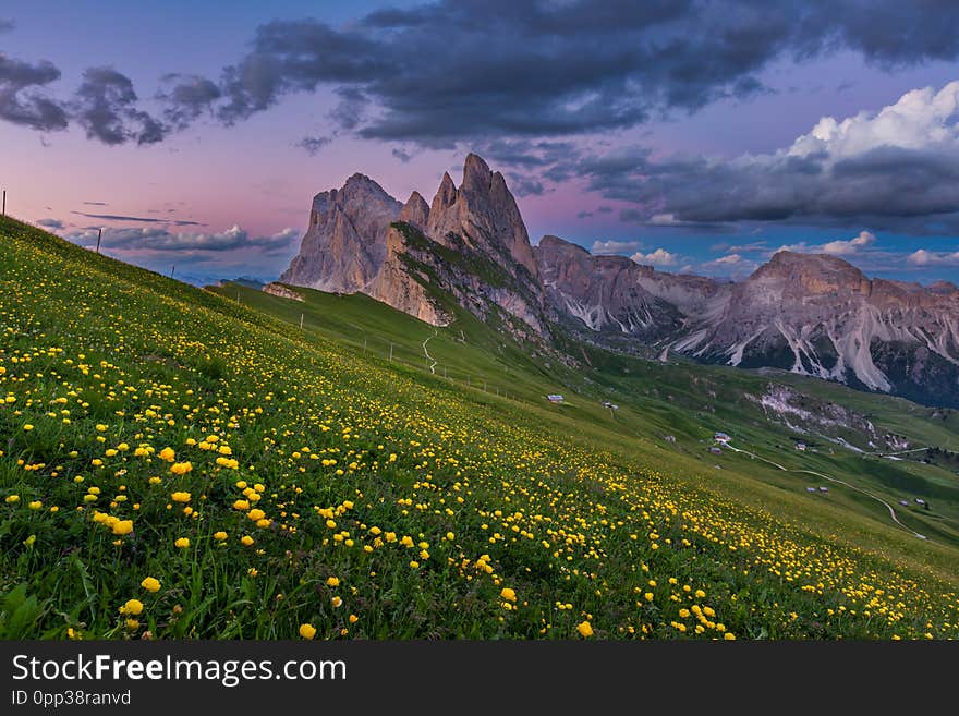 Stunning View Of Dolomite Mountain And Wildflower Field In Summer At Seceda Peak, Italy