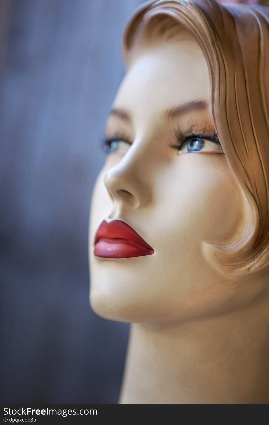 Close up of a vintage pasteboard model in a flea market, mannequin, fashion, retro, girl, makeup, woman, face, head, hair, fake, old, classic, look, eyes, lips, style, stylish