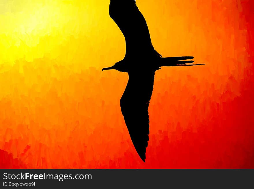 Bird Silhouette Flying