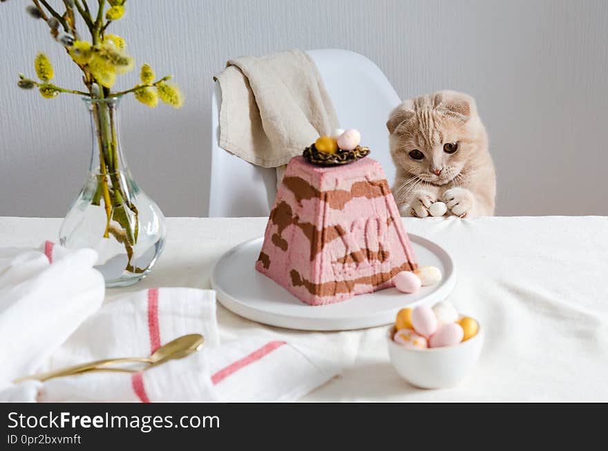 Cute cat with easter egg at festive served table. Easter card. Traditional easter food. Copy space