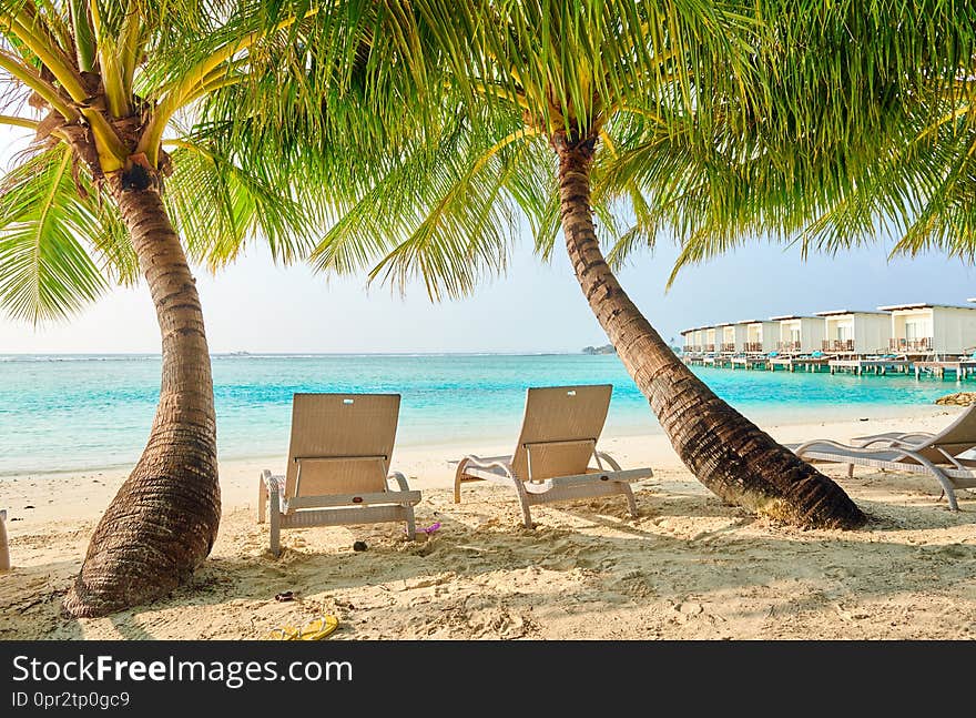 Tropical beach with loungers and palm trees