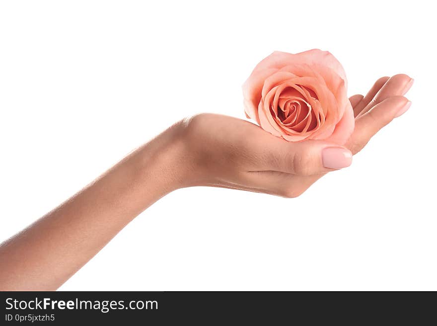 Woman holding rose on white background, closeup. Spa treatment