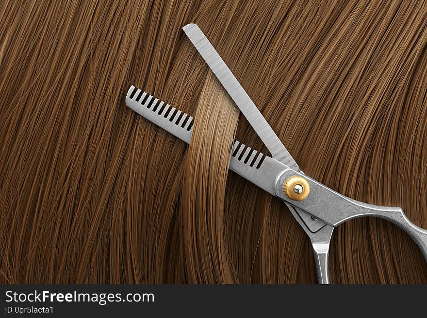 Thinning scissors on light brown hair. Hairdresser service