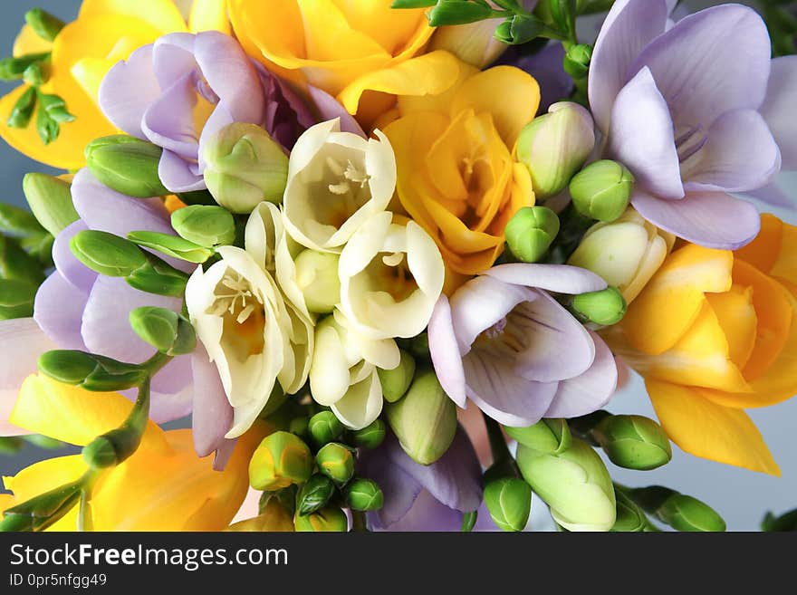 Beautiful bouquet of fresh freesia flowers, closeup