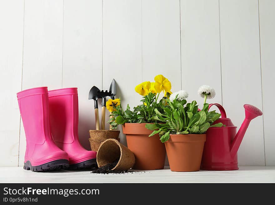 Blooming flowers in pots and gardening equipment on table