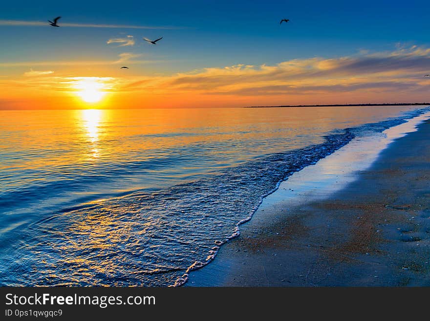 Seagulls are flying at beautiful sunset on the beach. Seagulls are flying at beautiful sunset on the beach