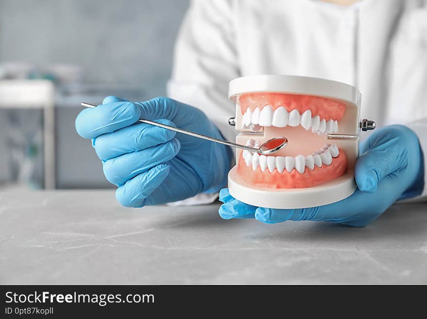 Dentist holding educational model of oral cavity at table