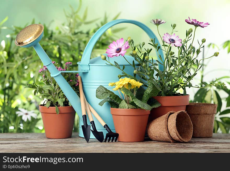 Potted blooming flowers and gardening equipment on wooden table